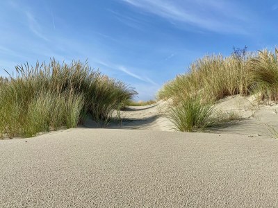 Holiday apartment Ferienwohnung Robbenbank - Environment photo 23