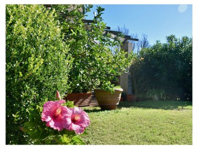 Holiday house Stellino - Outdoor photo 4