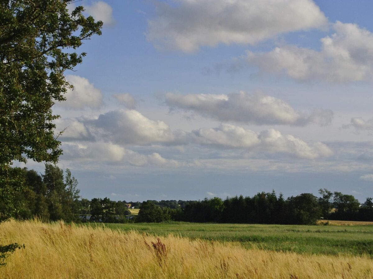 Holiday house 4 star holiday home in Hejls - Outdoor photo 5