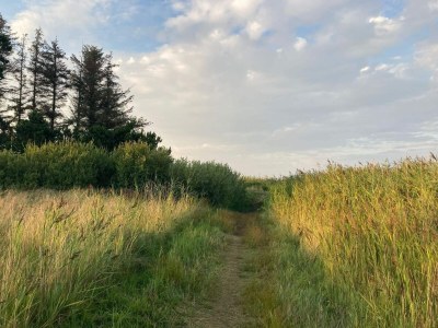 Holiday house 4 Sterne Ferienhaus in Hals - Outdoor photo 15