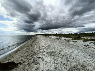 Holiday house 4 Sterne Ferienhaus in Hals - Outdoor photo 18