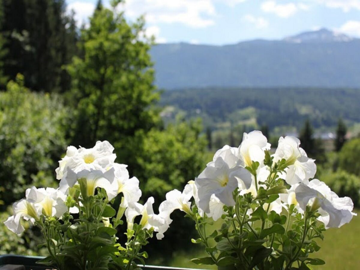 Apartment Gemütliche Ferienwohnung nahe Ski Nassfeld - Outdoor photo 4