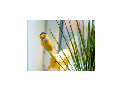 Holiday house Ferienhaus in Tating - Outdoor photo 46