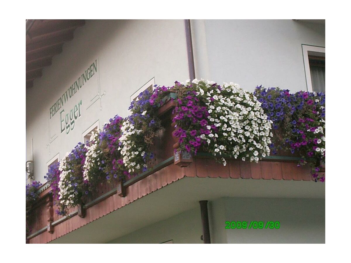 Apartment Apartment 1 mit 3 Schlafzimmern - Outdoor photo 5