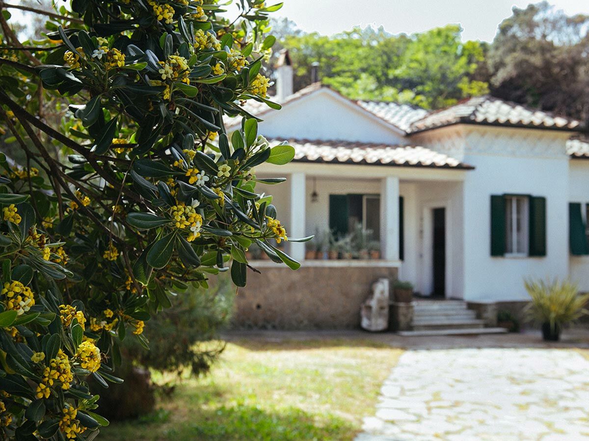 Holiday apartment Noemi-Baratti - Outdoor photo 3