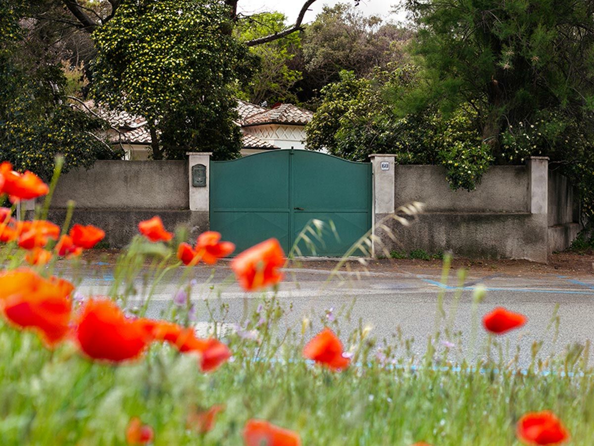 Holiday apartment Noemi-Baratti - Outdoor photo 5