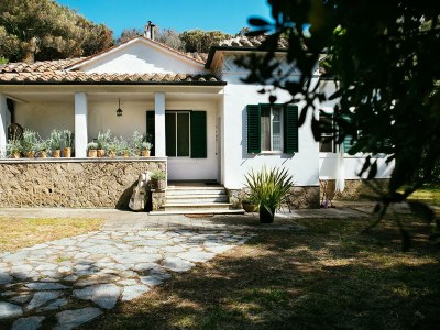 Holiday apartment Noemi-Baratti - Outdoor photo 2