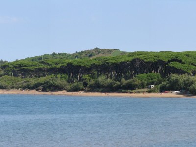 Holiday apartment Noemi-Baratti - Environment photo 19