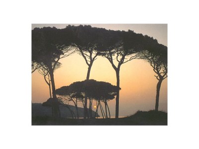 Holiday apartment Noemi-Baratti - Environment photo 25