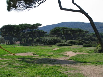 Holiday apartment Noemi-Baratti - Environment photo 26