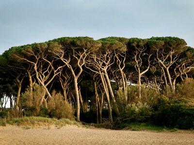 Holiday apartment Noemi-Baratti - Environment photo 27
