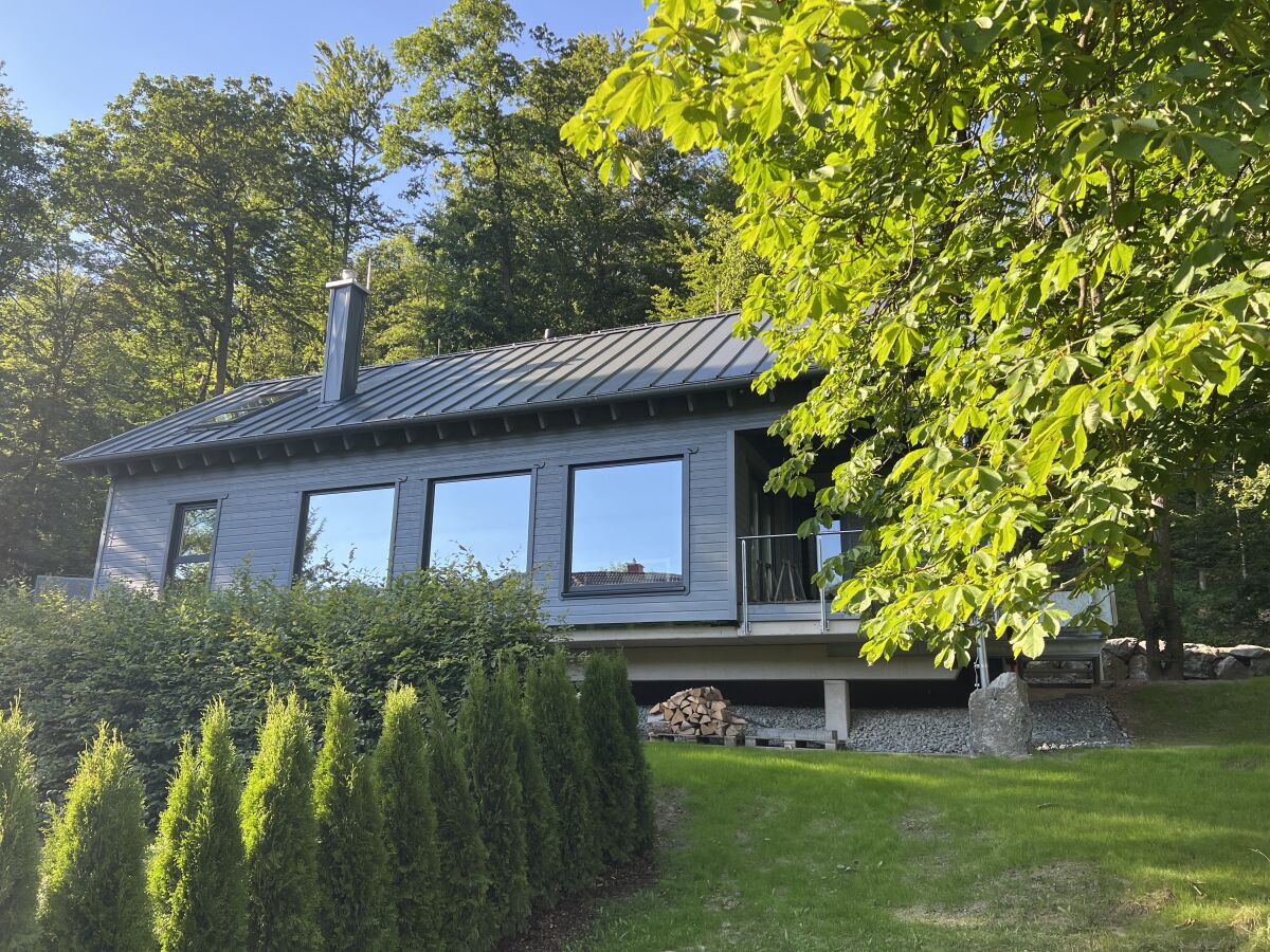 Holiday house Hercynia Lodge - Outdoor photo 3