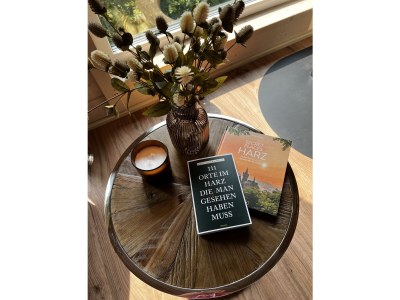 Holiday house Hercynia Lodge - Features photo 11