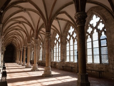 Holiday house Hercynia Lodge - Environment photo 23