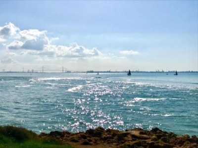 Villa Costa de la Luz Poolside Villa - Environment photo 28