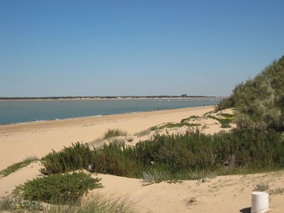 Villa Costa de la Luz Poolside Villa - Environment photo 33