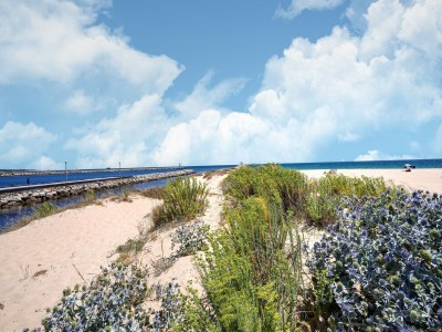 Villa Villa in Vilamoura with Pool near Beach - Environment photo 35