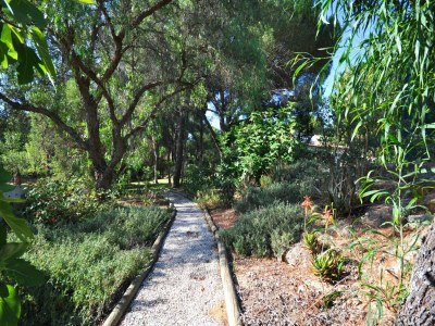 Holiday house Villa in Almancil mit Pool und Golfplatz - Outdoor photo 15