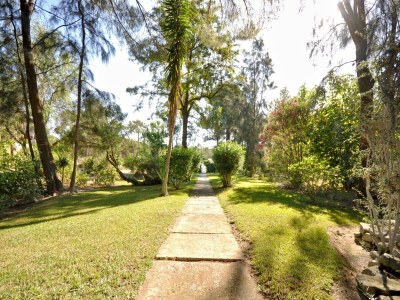 Holiday house Villa in Almancil mit Pool und Golfplatz - Outdoor photo 18