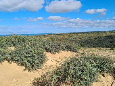 Holiday house 5 star holiday home in Løkken - Outdoor photo 27