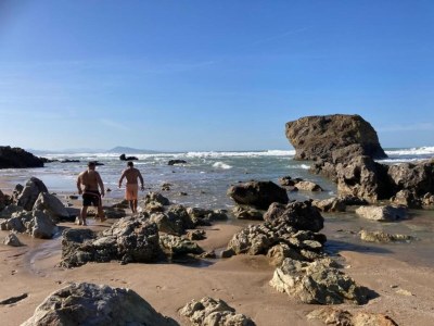 Holiday park Haustierfreundlicher baskischer Aufenthalt - Environment photo 24