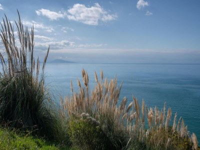 Holiday park Haustierfreundlicher baskischer Aufenthalt - Environment photo 33