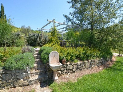 Holiday house Ferienhaus in Modigliana mit Pool & Weinbergen - Outdoor photo 6