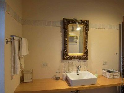 Holiday house Ferienhaus in Modigliana mit Pool & Weinbergen - Features photo 28