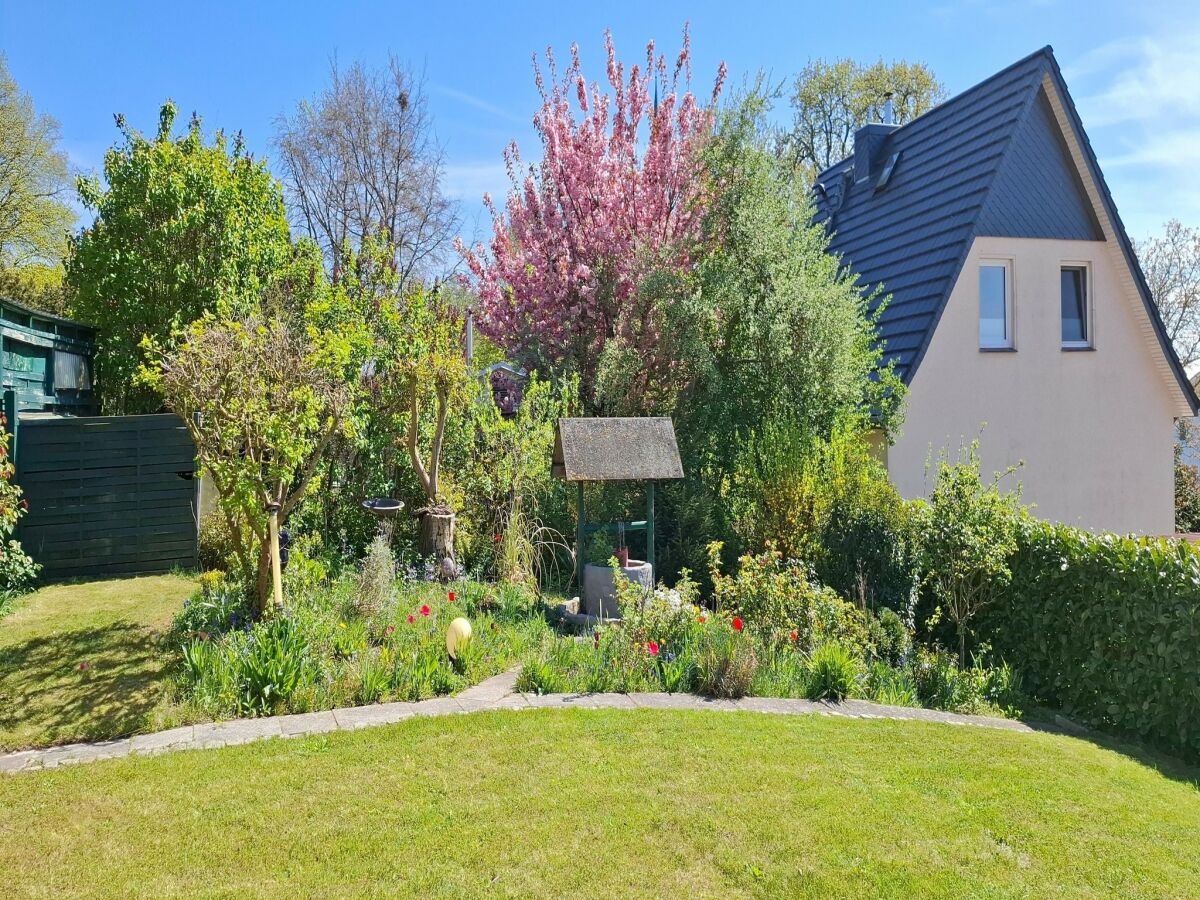 Bungalow Romantic Retreat in Kröpelin - Outdoor photo 4