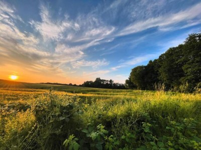 Bungalow Romantic Retreat in Kröpelin - Environment photo 23