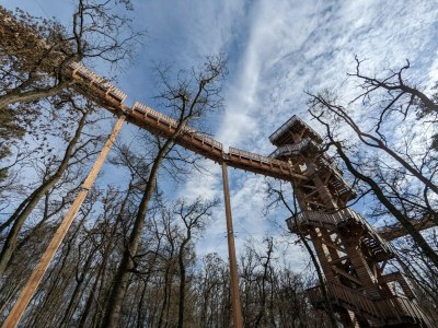 Apartment Maisonette im Taunus mit Terrasse und Wanderwegen - Environment photo 42