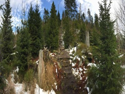 Apartment Ferienwohnung in der Nähe des Kurparksees - Environment photo 22