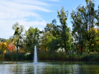 Apartment Ferienwohnung in der Nähe des Kurparksees - Environment photo 38