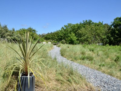 Holiday house Helmbloem - Features photo 23