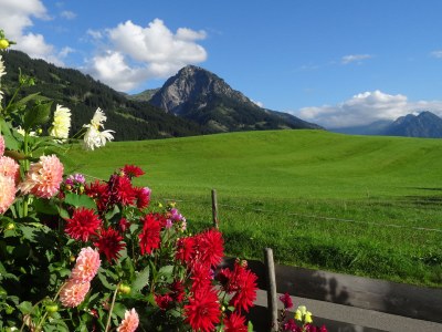 Holiday apartment Hörnerblick - Outdoor photo 3