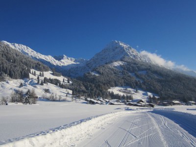 Holiday apartment Hörnerblick - Environment photo 18