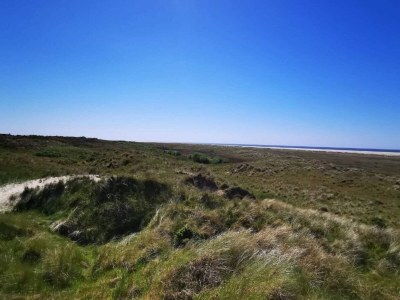 Holiday house 2 person holiday home in Fanø - Outdoor photo 16
