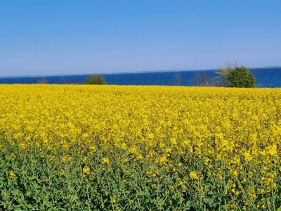 Holiday house 5 star holiday home in Sydals - Outdoor photo 17