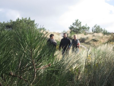Holiday house Cabin by the dunes - Environment photo 16