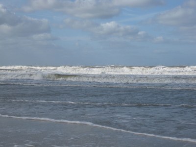 Holiday house Cabin by the dunes - Environment photo 17