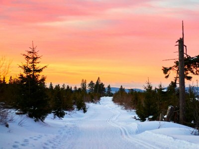 Apartment Wohnung in Langdorf bei Skiloipen - Environment photo 19