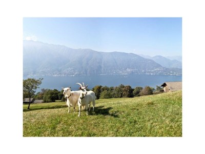 Holiday apartment Al Castagno Duplex - Outdoor photo 40