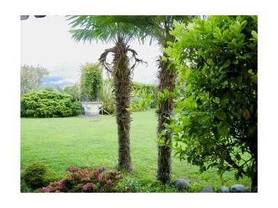 Holiday apartment Aphrodite - Outdoor photo 16