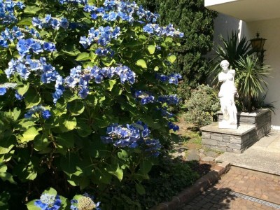 Holiday apartment Aphrodite - Outdoor photo 20