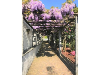 Holiday apartment Aphrodite - Outdoor photo 22