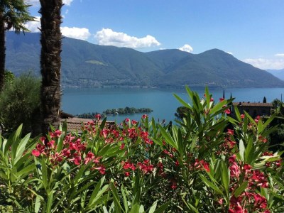 Holiday apartment Casa Azalea - Outdoor photo 29