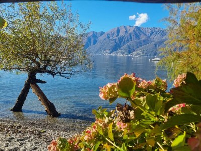 Holiday apartment Casa Andrea Panorama - Outdoor photo 29