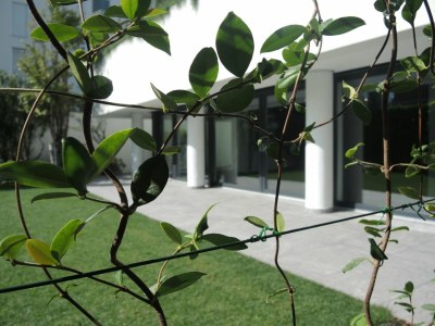 Holiday apartment Fiore Rosa - Outdoor photo 21