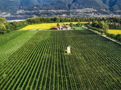 Holiday apartment La Quercia - Outdoor photo 21