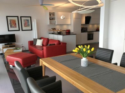 Holiday apartment Nibbio - Outdoor photo 3